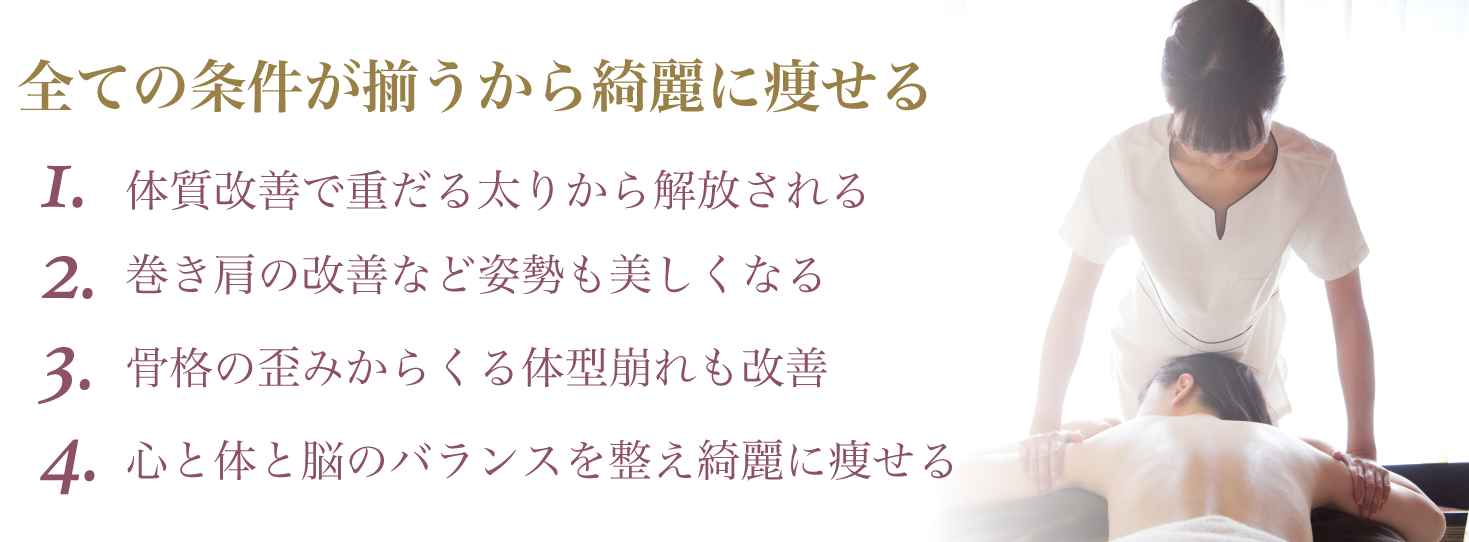 痩身プログラムのポイント